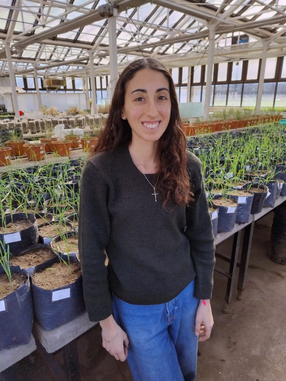 Dr. Pablo Roncallo Dr. Pablo Roncallo